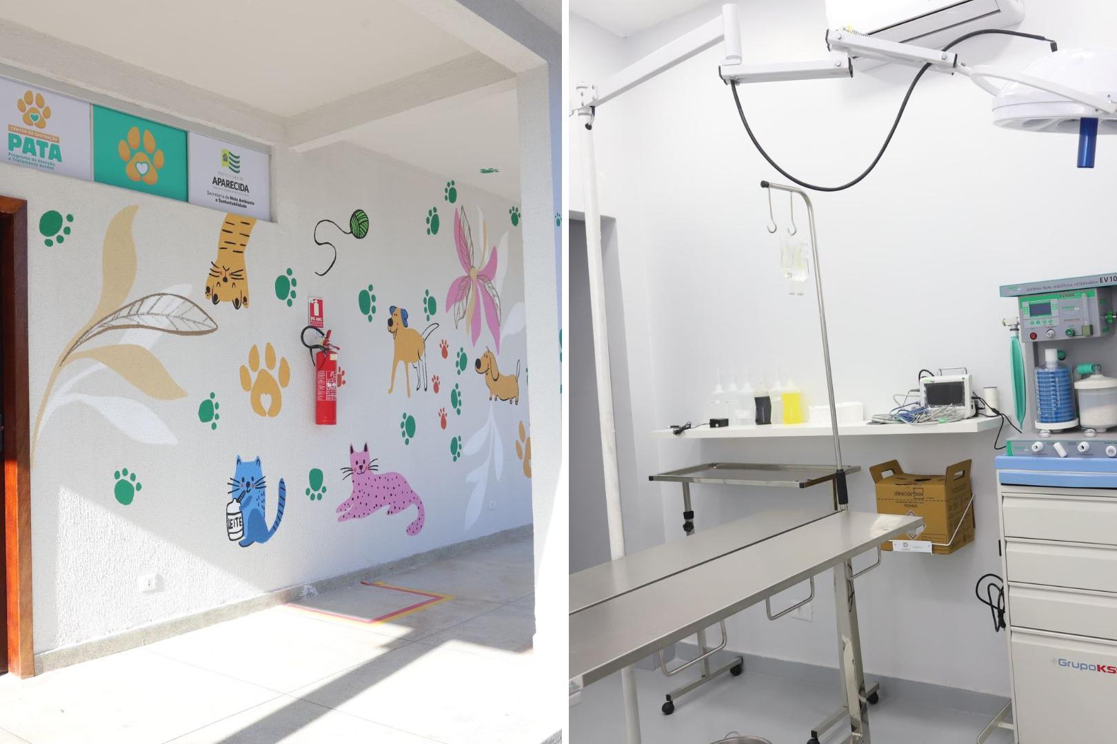 Aparecida abre centro de castração animal | Daqui