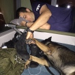 ‘Estamos nisso juntos’: foto de policial segurando pata de cão durante furacão Irma viraliza