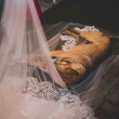 Cachorro que deitou em véu da noiva durante casamento é adotado por casal
