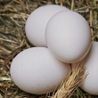 Vendedor de ovos viraliza na web ao ser questionado se sente vergonha de seu trabalho