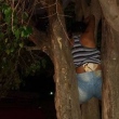 Mulher fica presa em árvore ao tentar entrar na casa do ex