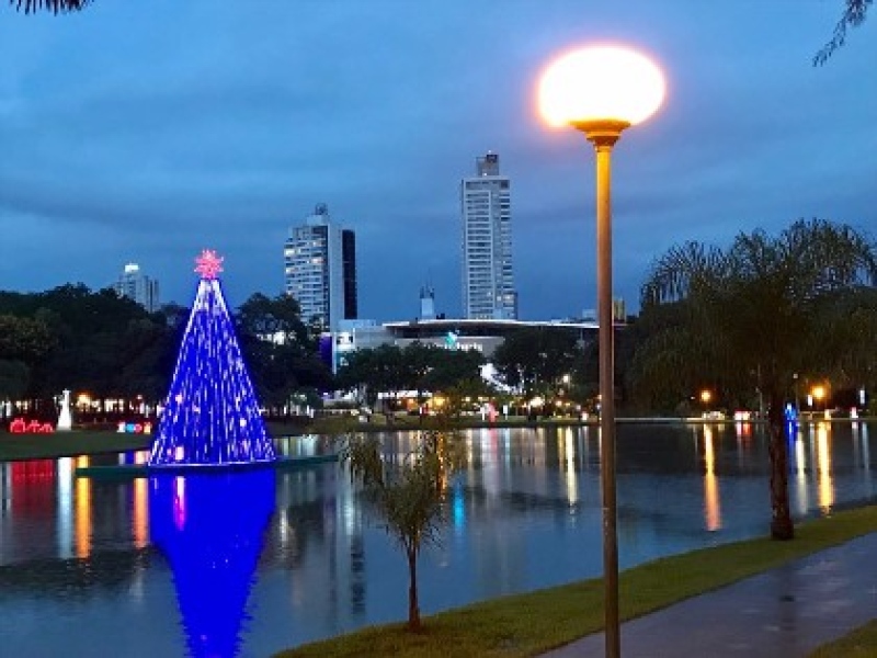 Árvore de Natal feita com 60 mil garrafas pet é inaugurada no Parque Vaca  Brava
