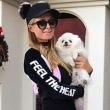 Paris Hilton oferece R$ 32 mil de recompensa para quem encontrar cachorro roubado