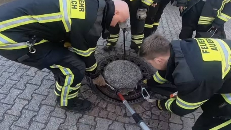 Rato 'gordinho' fica preso em buraco e é salvo por bombeiros; assista