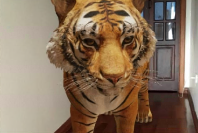 Google acrescenta 50 animais 3D às opções de realidade aumentada