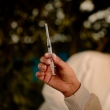 Anápolis realiza vacinação contra Covid-19