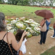Enlutados visitam túmulo de Marília Mendonça na manhã deste domingo (7) 