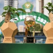 Taça da Copa Verde